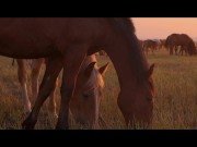 My Country Stepmom Is Super Horny Mandy Rhea 1/16