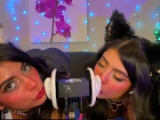 ASMR TWO Cats Flirt and Lick Your Ears with Eye Contact layered  sounds - CorneliustheCat ASMR 1/16