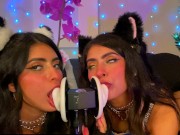 ASMR TWO Cats Flirt and Lick Your Ears with Eye Contact layered  sounds - CorneliustheCat ASMR 11/16