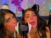 ASMR TWO Cats Flirt and Lick Your Ears with Eye Contact layered  sounds - CorneliustheCat ASMR 13/16