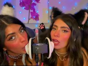 ASMR TWO Cats Flirt and Lick Your Ears with Eye Contact layered  sounds - CorneliustheCat ASMR 14/16