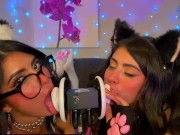 ASMR TWO Cats Flirt and Lick Your Ears with Eye Contact layered  sounds - CorneliustheCat ASMR 4/16