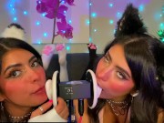 ASMR TWO Cats Flirt and Lick Your Ears with Eye Contact layered  sounds - CorneliustheCat ASMR 9/16
