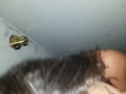 Sexywife sucks on my cock 16/16