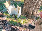 piss off a log piss in nature 11/16