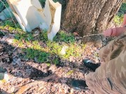 piss off a log piss in nature 13/16