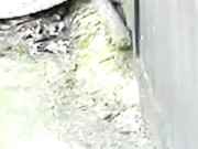 ASS FUCKED BY THE MILF IN UNCLE'S SHED 2/16