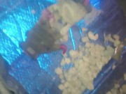 Adult Theater Parking Lot 16/16