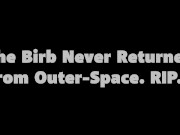 Bird Attacks My Truck 14/16