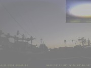 Bird Attacks My Truck 7/16