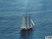 TUSHY horny tourist gets ass fucked 1/16