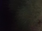 Ebony Fuck Outside The Car On A Road Trip 8/16