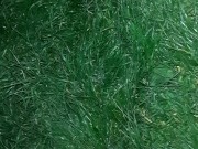 I surprised my girlfriend, and she thanked me with cunnilingus with Russian conversations