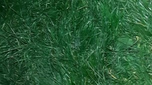 I surprised my girlfriend, and she thanked me with cunnilingus with Russian conversations