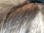 Wife sucks my cock 14/16