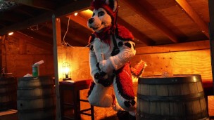 Husky Fursuiter Suspension Jerkoff