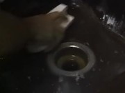 Brunette teen with her big tits seduces any cock 5/16