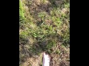 Feet in grass 14/16