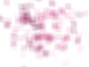 GIRLSRIMMING - Kimora's Rimjob Mania 14/16