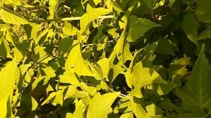 I wanted my girlfriend so much that we fucked in a public place - Lesbian_illusion