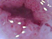 Cervix Throbbing, Dilated, Heartbeat, Extreme Close-up, Stunning, ASMR 11/16