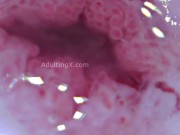 Cervix Throbbing, Dilated, Heartbeat, Extreme Close-up, Stunning, ASMR 13/16