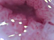 Cervix Throbbing, Dilated, Heartbeat, Extreme Close-up, Stunning, ASMR 15/16