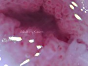 Cervix Throbbing, Dilated, Heartbeat, Extreme Close-up, Stunning, ASMR 8/16