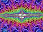DIRTY BREEDING WHORE GETS IMPREGENATED AND CREAMPIED DEEP / DADDY DOM EROTICA 13/16