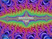 DIRTY BREEDING WHORE GETS IMPREGENATED AND CREAMPIED DEEP / DADDY DOM EROTICA 4/16