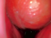 🏆 Best Camera Inside Pussy Porn - Huge Creampie In Blonde Model From Her Cervix’s POV😍🎥 - Couple 12/16