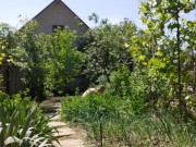 It's nice to do things in the garden 1/16