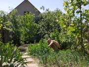 It's nice to do things in the garden 2/16