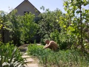 It's nice to do things in the garden 3/16