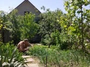 It's nice to do things in the garden 4/16