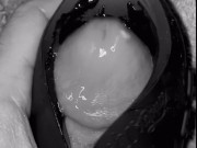 Throbbing cock cumming🍆💦💦 10/16