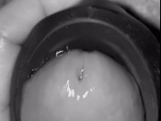 Throbbing cock cumming🍆💦💦 8/16