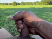 Rise and Shine 14/16