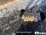 She was cold outside so she came to my place to warm up by shagging. 1/16