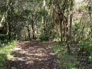 Caminata con follada y mamada al aire libre alguien nos descubre 2/16