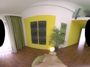 Reality Lovers - Ass FUCK Compilation! Hot Whores Getting Their Big Ass Fucked 12/16