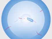 Sexual Deviant Step Daughters Seduce Their Politician Step Dads - DaughterSwap 1/16