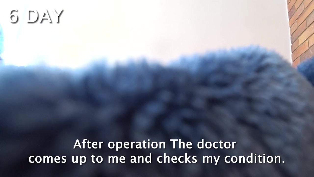 DAY 6.1: The nurses almost fought over my dick and ass. Public Crazy Place in hospital - Free Sex Video - RedTube