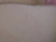 Bumbum guloso, ANAL 7/16