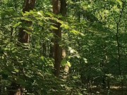 Relaxing forest view, filmed from a tree 5/16
