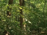 Relaxing forest view, filmed from a tree 6/16