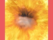 Australian Milking Machine: A Male-Only Experience 16/16