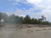 On the beach an unknown girl sucks my cock. IN PUBLIC 1/16