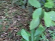 I have my lush in my pussy and my girlfriend records me and controls my lush outdoors 16/16