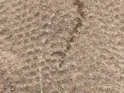 Masturbation While Off Roading On The Trails, Cumming & Pissing On A Sand Dune 14/16